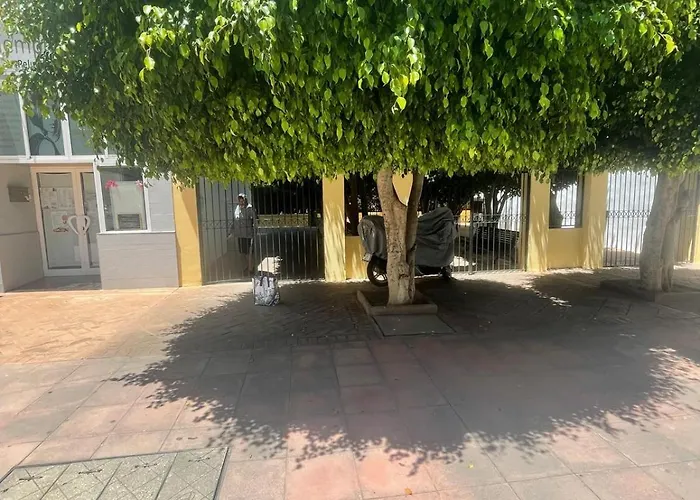 Apartamento Jardines Del Rocio