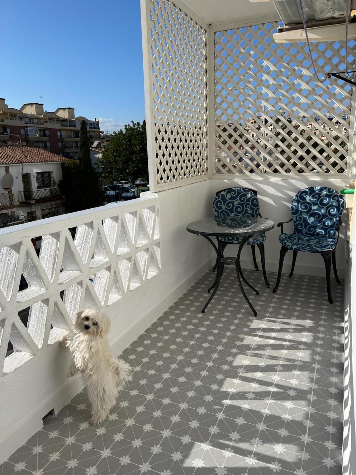 Apartment Jardines Del Rocio *