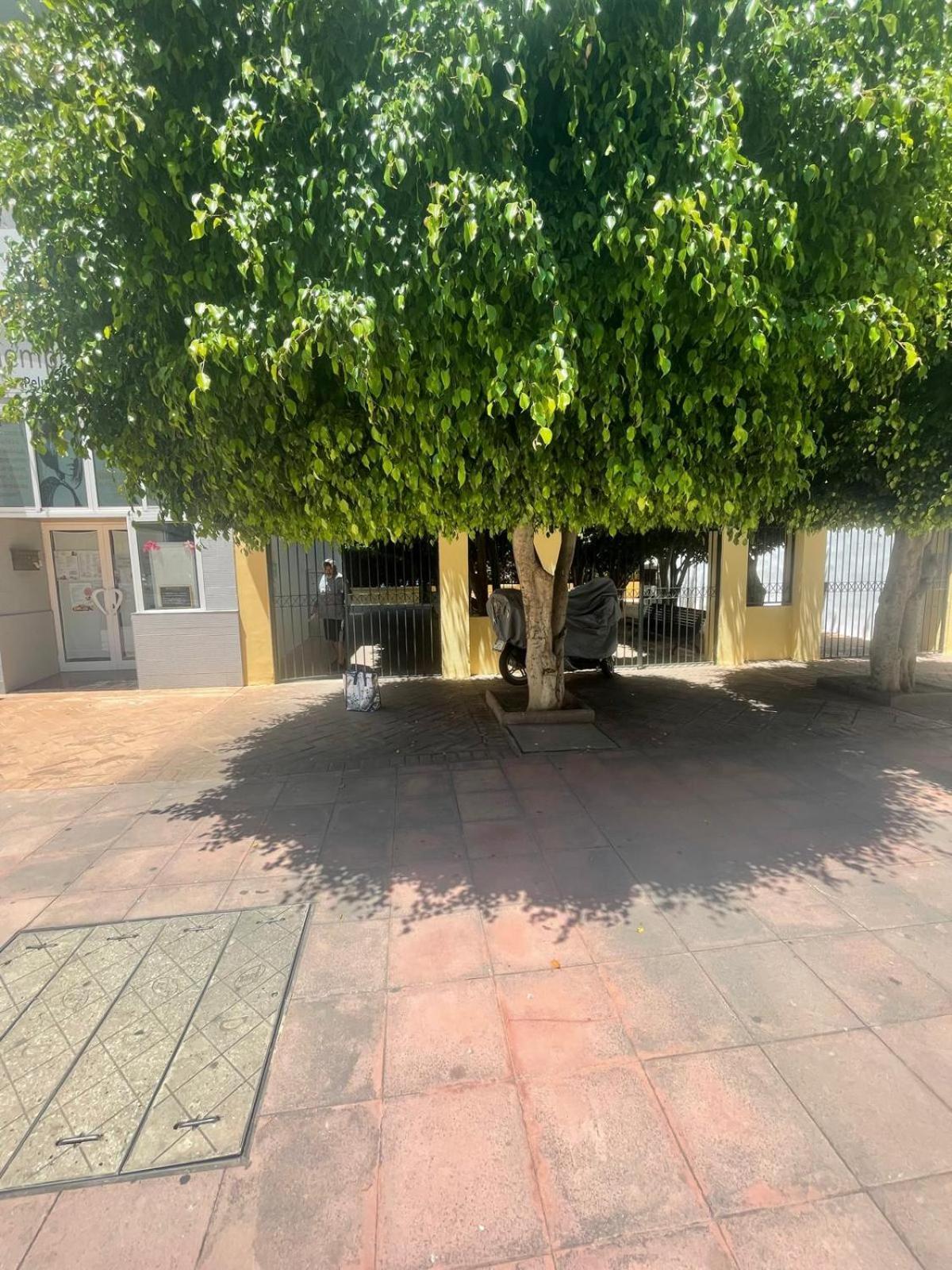 Jardines Del Rocio